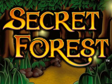 Secrets of the Forest